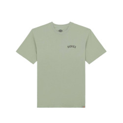 Dickies T-shirt korte mouw dk0a4z99k361
