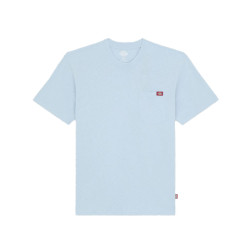 Dickies T-shirt korte mouw dk0a4yfck541