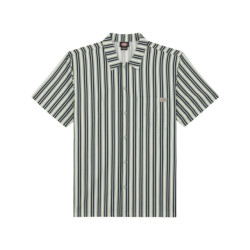 Dickies T-shirt korte mouw dk0a87g3k361