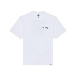 Dickies T-shirt korte mouw dk0a4z990wh1