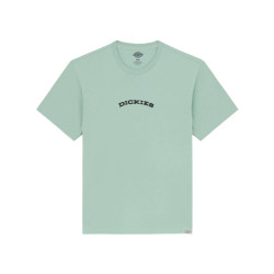Dickies T-shirt korte mouw dk0a4z8pk361