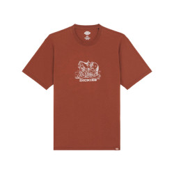 Dickies T-shirt korte mouw dk0a4z91k471