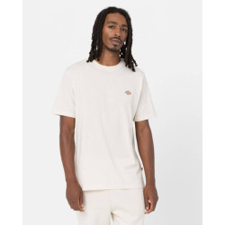 Dickies T-shirt korte mouw dk0a4xdbf901