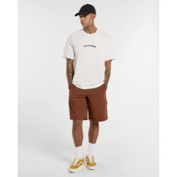Dickies T-shirt korte mouw dk0a4z8pc481
