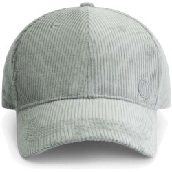 Dstrezzed Ds caily cap