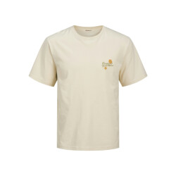 Jack & Jones Joralmeria chain stitch tee ss crew