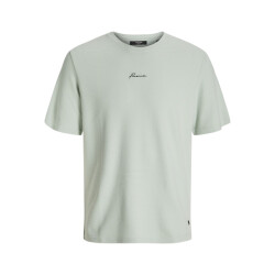 Jack & Jones jprblafranco ss tee crew neck ln 12175825 gray