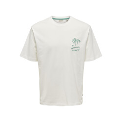 Only & Sons Onsmilo sketch rlx coast ss tee cs