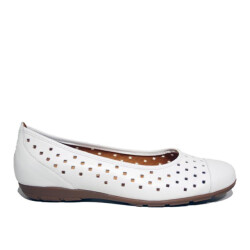 Gabor 64.169