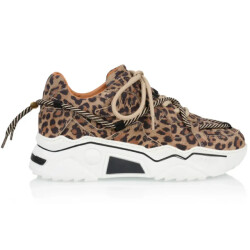 DWRS Label Jupiter leopard