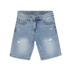 Indian Blue 960228