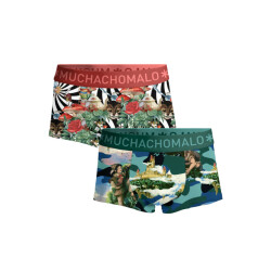 Muchachomalo Heren 2-pack trunks jackbean alicewonder