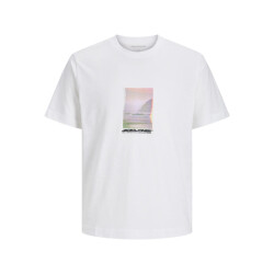 Jack & Jones Jocsagoo photo slub tee