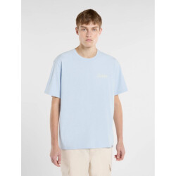 Dickies T-shirt korte mouw dk0a4z92k541