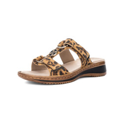 Ara 1229003 hawaii leo 3033