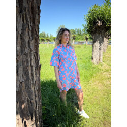 CKS 306829 blf dresses dawson blue bright