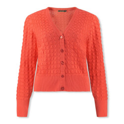 Lizzy & Coco Vest ezzi