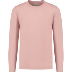 Dstrezzed Ds gage crew