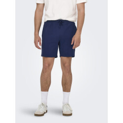 Only & Sons Onskian life reg seersucker shorts
