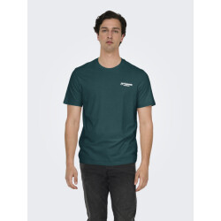 Only & Sons Onschris life reg ss tee
