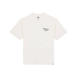 Dickies T-shirt zonder mouw dk0a87qoc481