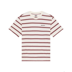 Dickies T-shirt korte mouw dk0a87qvc481