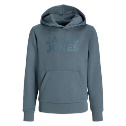 Jack & Jones Hoodie 12152841