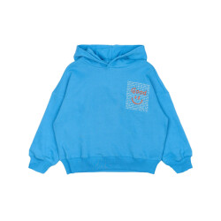 The New Hoodie tn6477