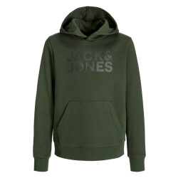 Jack & Jones Sweat 12152841