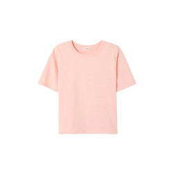 American Vintage Fiz02ah25camelivi fizvalley t-shirt