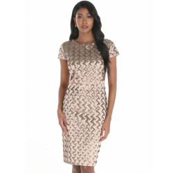Frank Lyman Jurk 259724