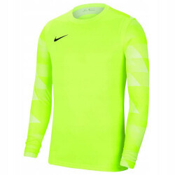 Nike Park iv dri-fit keeperstrui met lange mouwen voor kinderen/kinderen