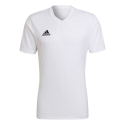 Adidas Heren entrada 22 jersey
