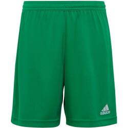 Adidas Kinderen/kinderen entrada 22 korte broek