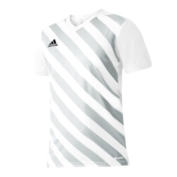 Adidas Heren entrada 22 grafische trui