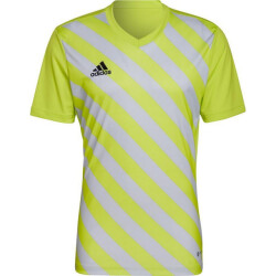 Adidas Heren entrada 22 grafische trui