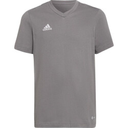 Adidas Kinderen/kinderen entrada 22 t-shirt