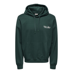 Only & Sons Onsgallery vtg hoodie -