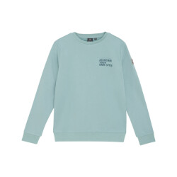 Indian Blue Sweat 960353