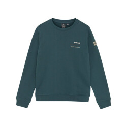 Indian Blue Sweat 960349
