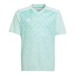 Adidas Kinderen/kinderen team icoon 23 t-shirt