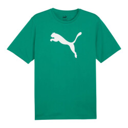 Puma Heren team rise logo katoenen jersey