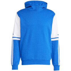 Adidas Heren squadra 25 hoodie