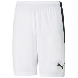 Puma Heren teamliga shorts