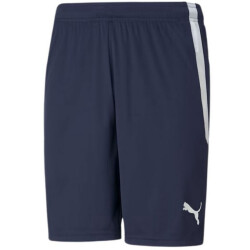 Puma Heren teamliga shorts