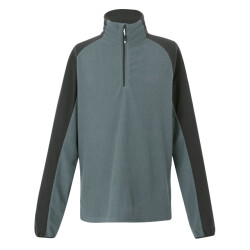 Regatta Heren elson ii lichtgewicht fleece