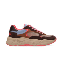 Scotch & Soda Celest