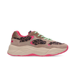 Scotch & Soda Celest