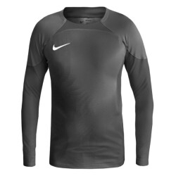 Nike Heren gardien iv keepershirt
