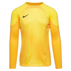 Nike Heren gardien iv keepershirt